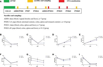 Maternal gestational Bifidobacterium bifidum TMC3115 treatment shapes construction of offspring gut microbiota and development of immune system and induces immune tolerance to food allergen